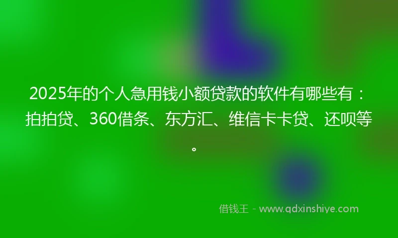 2025年的个人急用钱小额贷款的软件有哪些有：拍拍贷、360借条、东方汇、维信卡卡贷、还呗等。