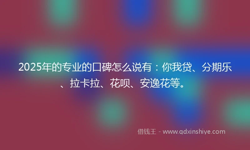 2025年的专业的口碑怎么说有：你我贷、分期乐、拉卡拉、花呗、安逸花等。