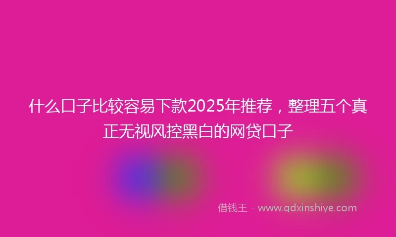 什么口子比较容易下款2025年推荐，整理五个真正无视风控黑白的网贷口子