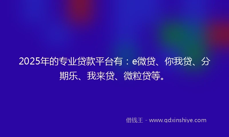 2025年的专业贷款平台有：e微贷、你我贷、分期乐、我来贷、微粒贷等。