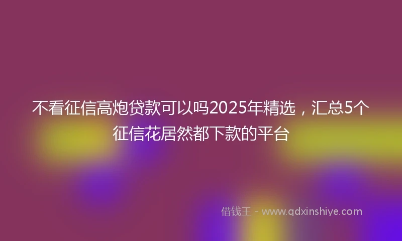不看征信高炮贷款可以吗2025年精选，汇总5个征信花居然都下款的平台