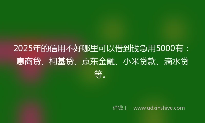 2025年的信用不好哪里可以借到钱急用5000有：惠商贷、柯基贷、京东金融、小米贷款、滴水贷等。