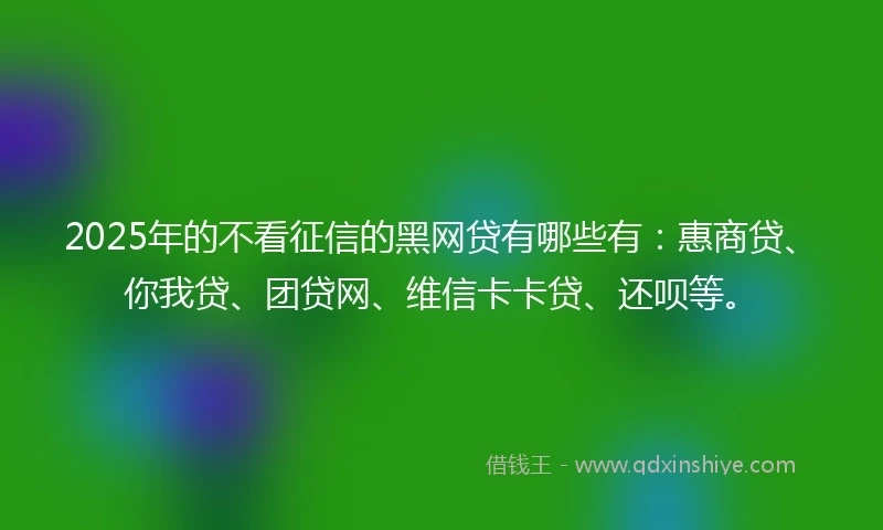 2025年的不看征信的黑网贷有哪些有：惠商贷、你我贷、团贷网、维信卡卡贷、还呗等。