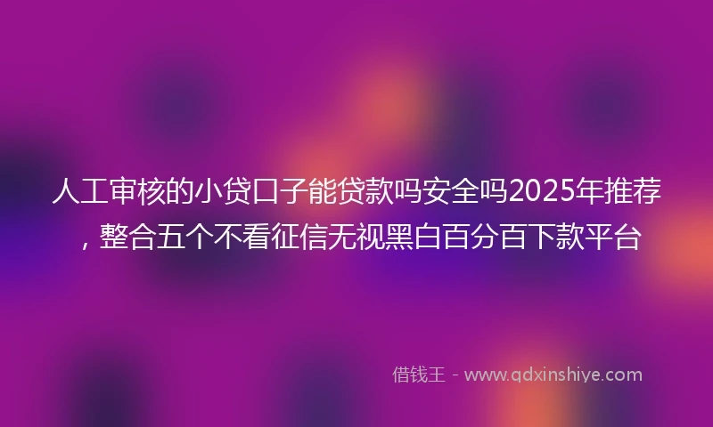 人工审核的小贷口子能贷款吗安全吗2025年推荐，整合五个不看征信无视黑白百分百下款平台