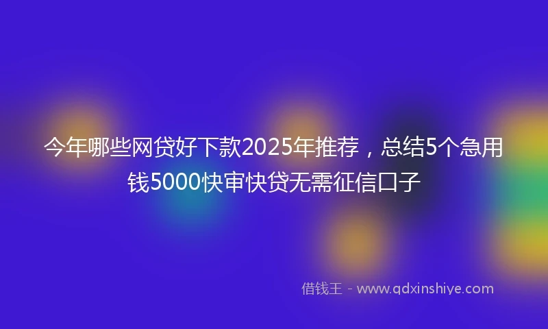 今年哪些网贷好下款2025年推荐，总结5个急用钱5000快审快贷无需征信口子