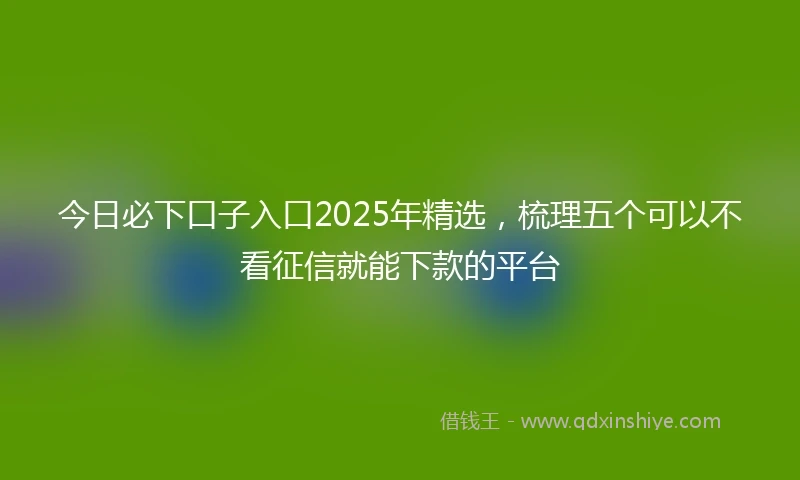 今日必下口子入口2025年精选，梳理五个可以不看征信就能下款的平台