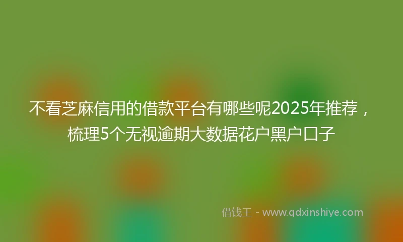 不看芝麻信用的借款平台有哪些呢2025年推荐，梳理5个无视逾期大数据花户黑户口子