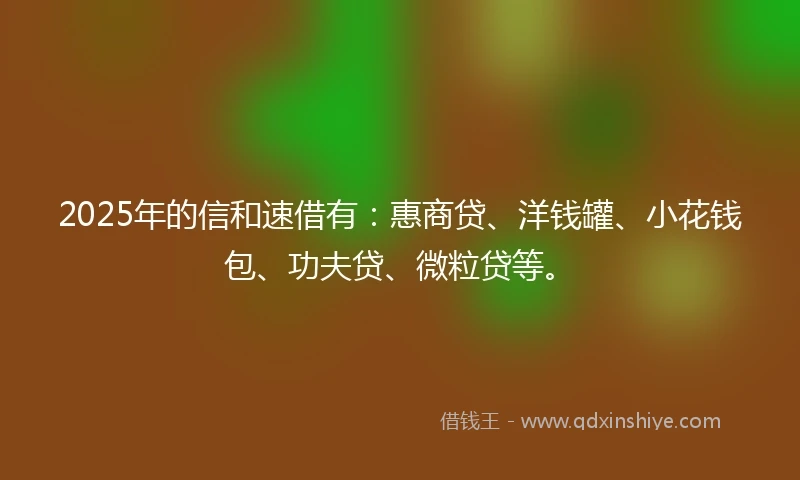 2025年的信和速借有：惠商贷、洋钱罐、小花钱包、功夫贷、微粒贷等。