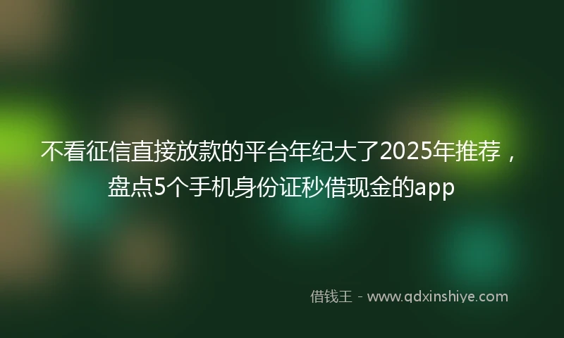 不看征信直接放款的平台年纪大了2025年推荐，盘点5个手机身份证秒借现金的app