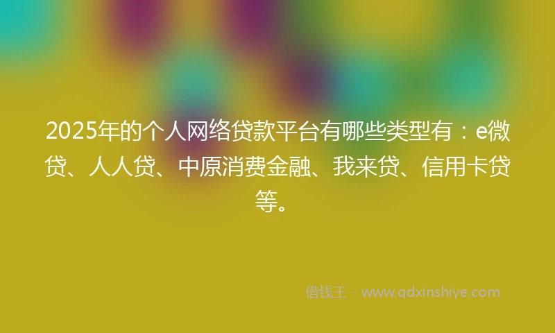 2025年的个人网络贷款平台有哪些类型有：e微贷、人人贷、中原消费金融、我来贷、信用卡贷等。