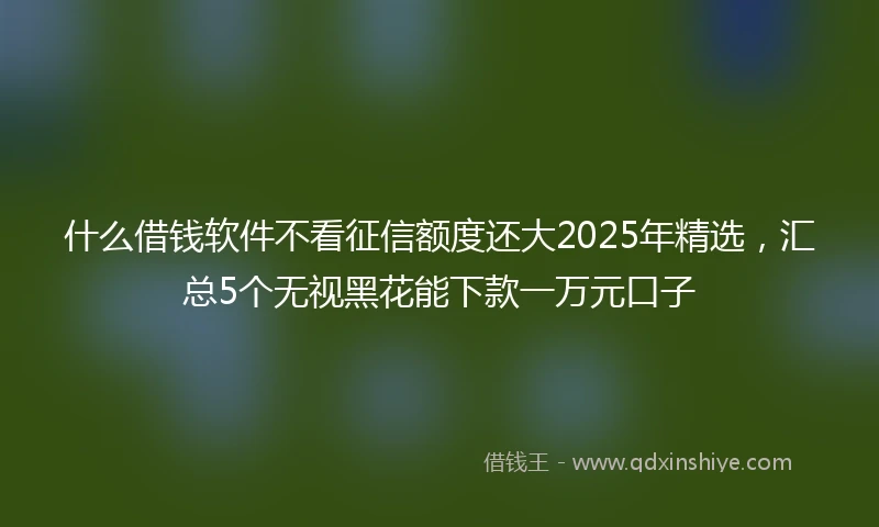 什么借钱软件不看征信额度还大2025年精选，汇总5个无视黑花能下款一万元口子