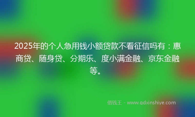 2025年的个人急用钱小额贷款不看征信吗有：惠商贷、随身贷、分期乐、度小满金融、京东金融等。