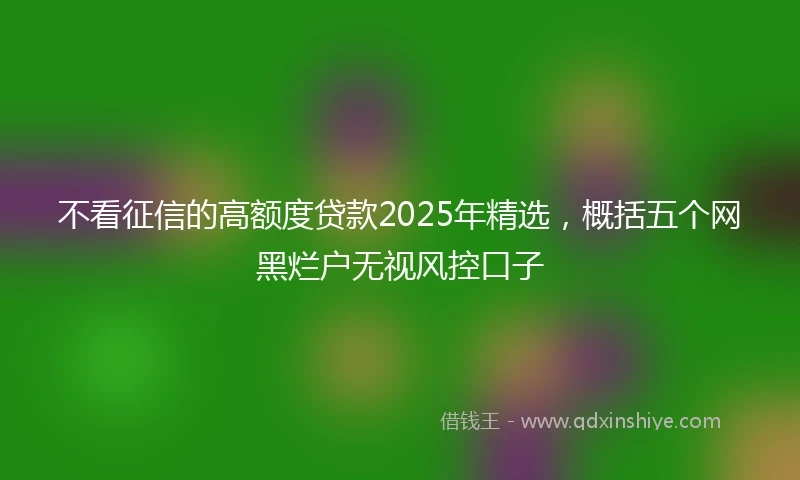 不看征信的高额度贷款2025年精选，概括五个网黑烂户无视风控口子