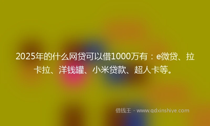 2025年的什么网贷可以借1000万有：e微贷、拉卡拉、洋钱罐、小米贷款、超人卡等。