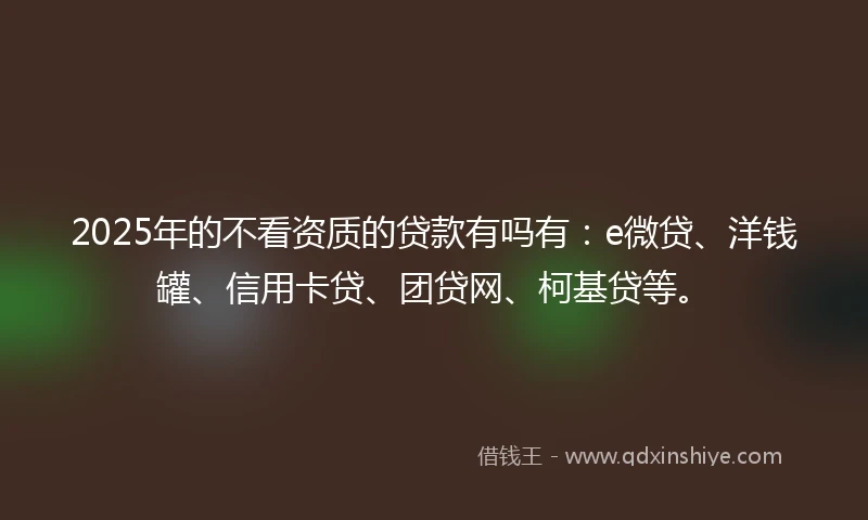 2025年的不看资质的贷款有吗有：e微贷、洋钱罐、信用卡贷、团贷网、柯基贷等。
