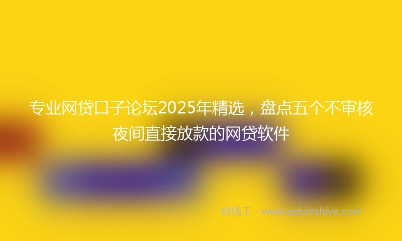专业网贷口子论坛2025年精选，盘点五个不审核夜间直接放款的网贷软件