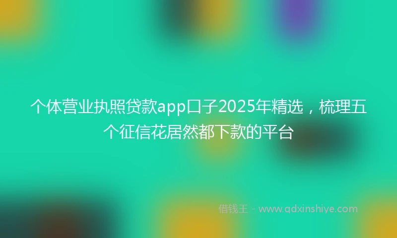 个体营业执照贷款app口子2025年精选，梳理五个征信花居然都下款的平台