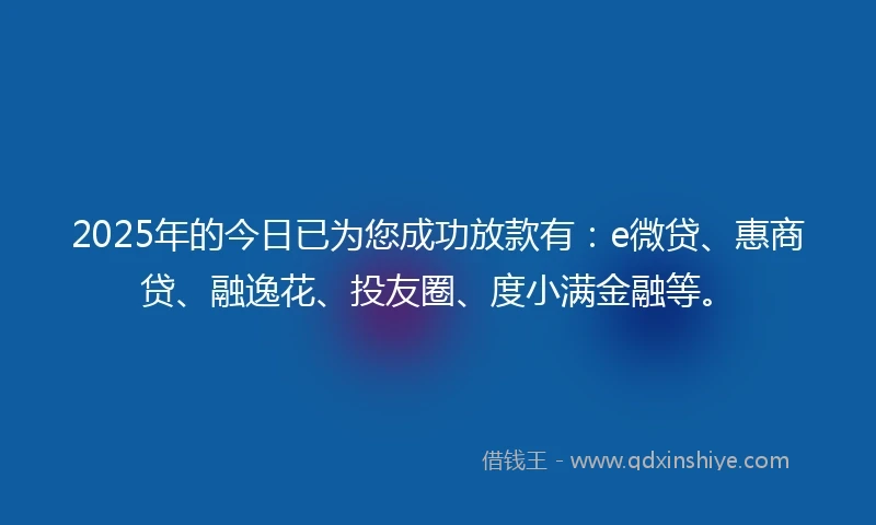 2025年的今日已为您成功放款有：e微贷、惠商贷、融逸花、投友圈、度小满金融等。