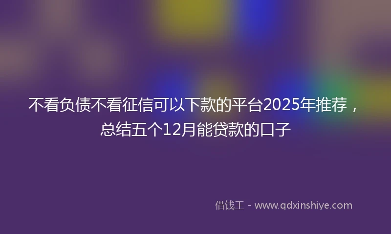 不看负债不看征信可以下款的平台2025年推荐，总结五个12月能贷款的口子