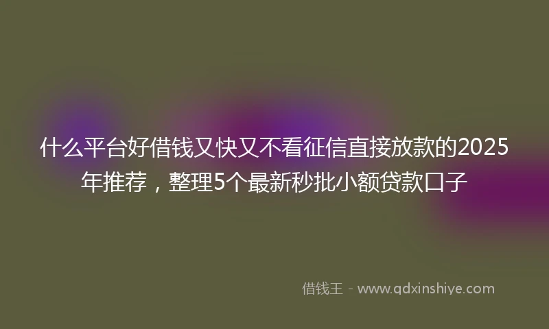 什么平台好借钱又快又不看征信直接放款的2025年推荐，整理5个最新秒批小额贷款口子