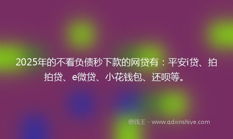 2025年的不看负债秒下款的网贷有：平安i贷、拍拍贷、e微贷、小花钱包、还呗等。