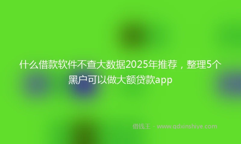 什么借款软件不查大数据2025年推荐，整理5个黑户可以做大额贷款app