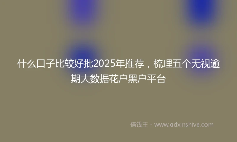 什么口子比较好批2025年推荐，梳理五个无视逾期大数据花户黑户平台