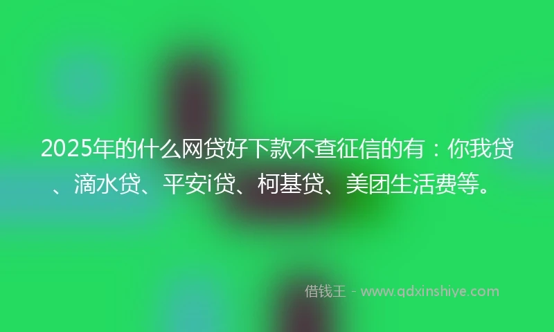 2025年的什么网贷好下款不查征信的有：你我贷、滴水贷、平安i贷、柯基贷、美团生活费等。
