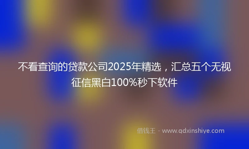 不看查询的贷款公司2025年精选，汇总五个无视征信黑白100%秒下软件