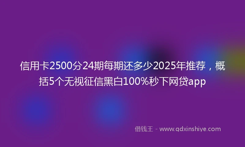 信用卡2500分24期每期还多少2025年推荐，概括5个无视征信黑白100%秒下网贷app