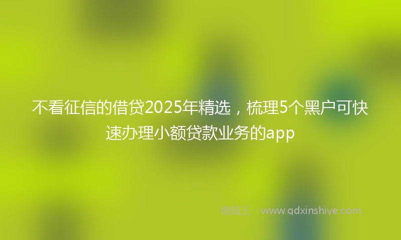 不看征信的借贷2025年精选，梳理5个黑户可快速办理小额贷款业务的app