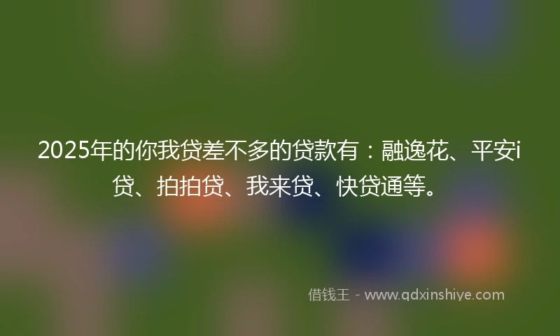 2025年的你我贷差不多的贷款有：融逸花、平安i贷、拍拍贷、我来贷、快贷通等。