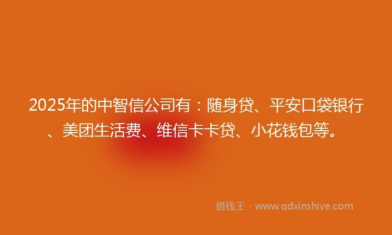 2025年的中智信公司有：随身贷、平安口袋银行、美团生活费、维信卡卡贷、小花钱包等。