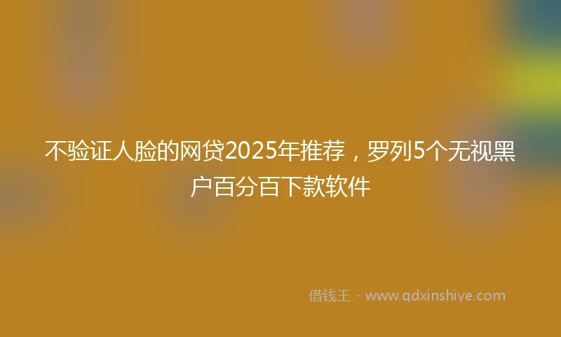 不验证人脸的网贷2025年推荐，罗列5个无视黑户百分百下款软件