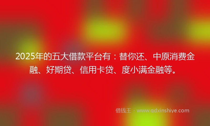 2025年的五大借款平台有：替你还、中原消费金融、好期贷、信用卡贷、度小满金融等。