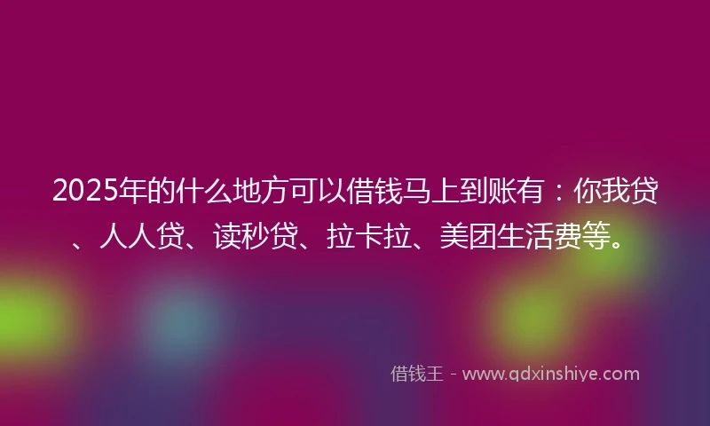 2025年的什么地方可以借钱马上到账有：你我贷、人人贷、读秒贷、拉卡拉、美团生活费等。