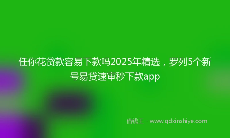 任你花贷款容易下款吗2025年精选，罗列5个新号易贷速审秒下款app