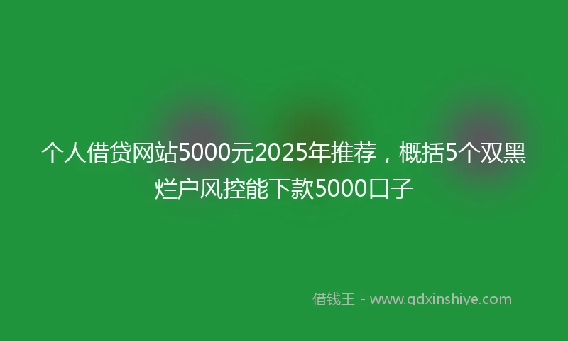 个人借贷网站5000元2025年推荐，概括5个双黑烂户风控能下款5000口子