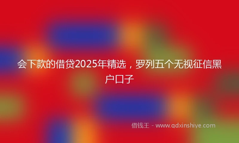 会下款的借贷2025年精选，罗列五个无视征信黑户口子