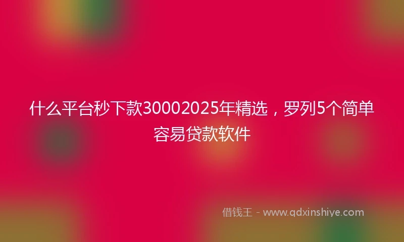 什么平台秒下款30002025年精选，罗列5个简单容易贷款软件