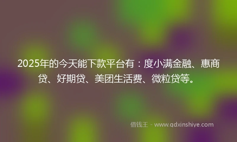 2025年的今天能下款平台有：度小满金融、惠商贷、好期贷、美团生活费、微粒贷等。