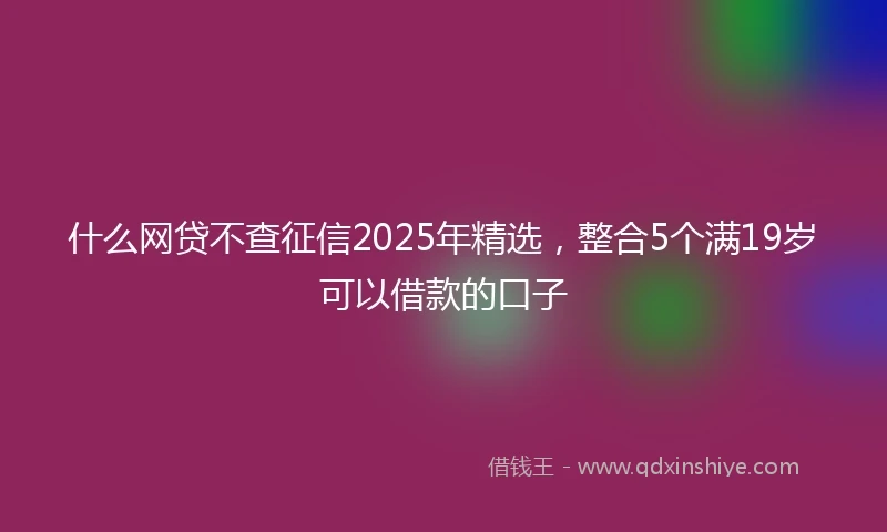 什么网贷不查征信2025年精选，整合5个满19岁可以借款的口子