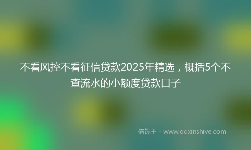 不看风控不看征信贷款2025年精选，概括5个不查流水的小额度贷款口子