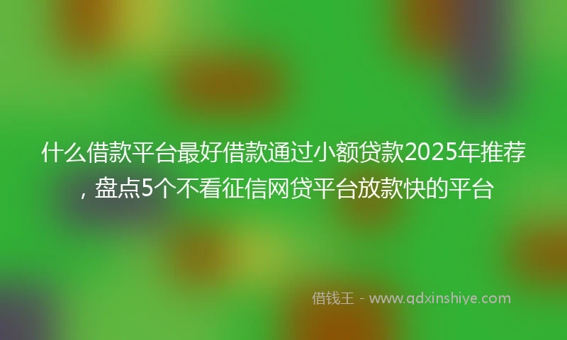 什么借款平台最好借款通过小额贷款2025年推荐，盘点5个不看征信网贷平台放款快的平台