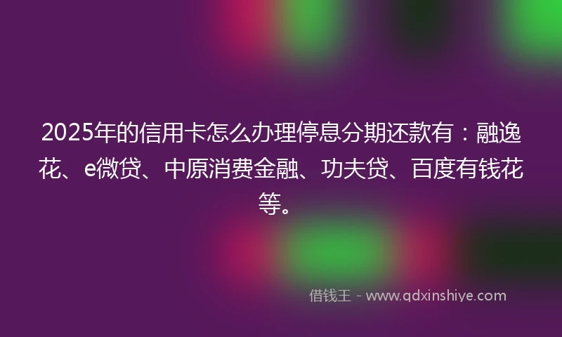 2025年的信用卡怎么办理停息分期还款有：融逸花、e微贷、中原消费金融、功夫贷、百度有钱花等。