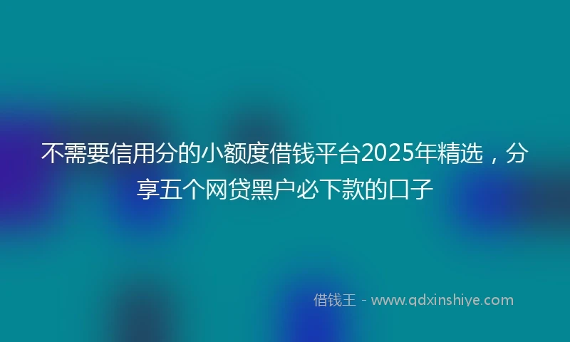 不需要信用分的小额度借钱平台2025年精选，分享五个网贷黑户必下款的口子
