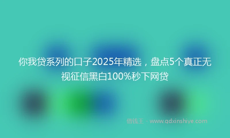 你我贷系列的口子2025年精选，盘点5个真正无视征信黑白100%秒下网贷
