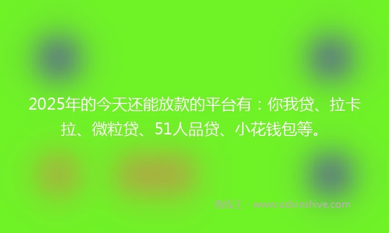 2025年的今天还能放款的平台有：你我贷、拉卡拉、微粒贷、51人品贷、小花钱包等。