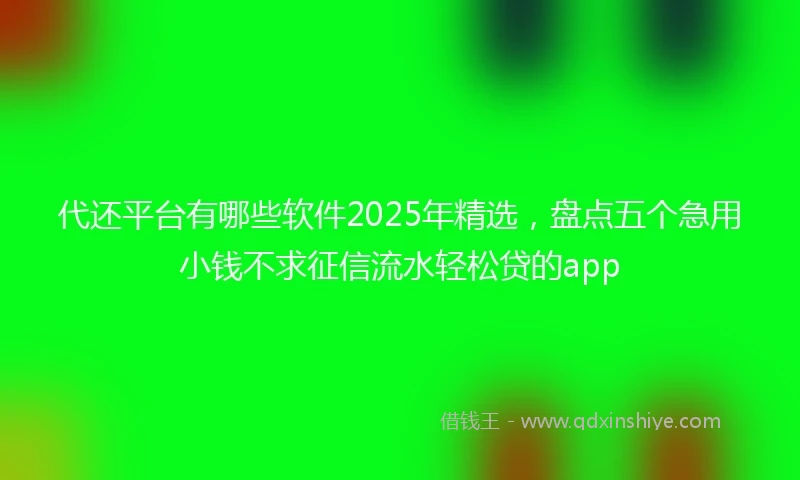 代还平台有哪些软件2025年精选，盘点五个急用小钱不求征信流水轻松贷的app