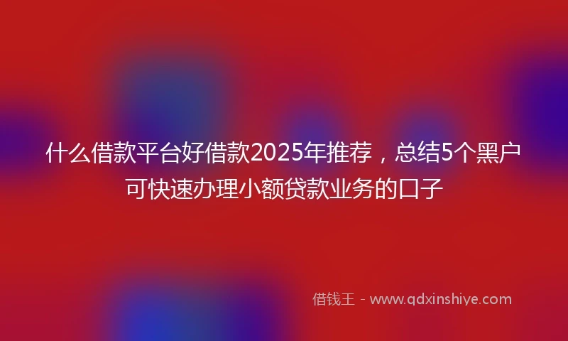 什么借款平台好借款2025年推荐，总结5个黑户可快速办理小额贷款业务的口子